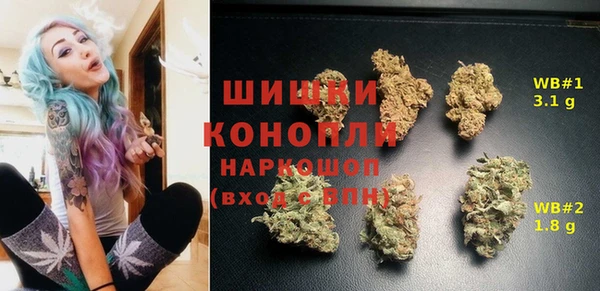 твердый Алексин