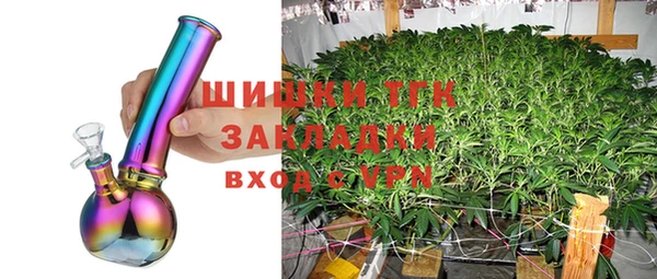 твердый Алексин